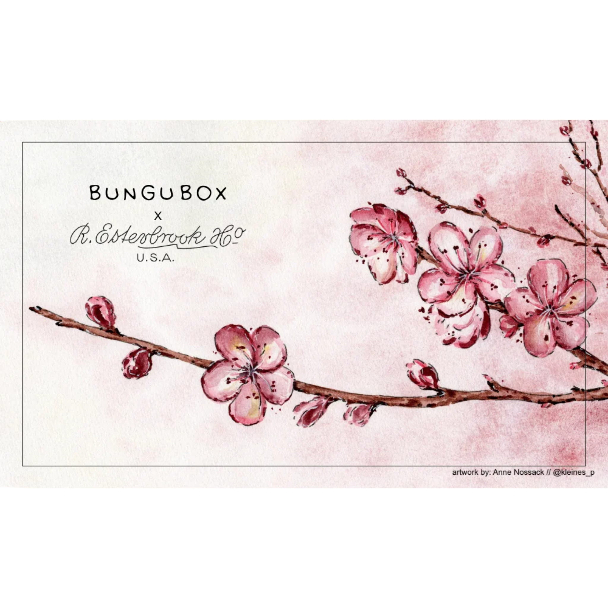 Esterbrook X BUNGUBOX Cherry Blossom Blotter Paper