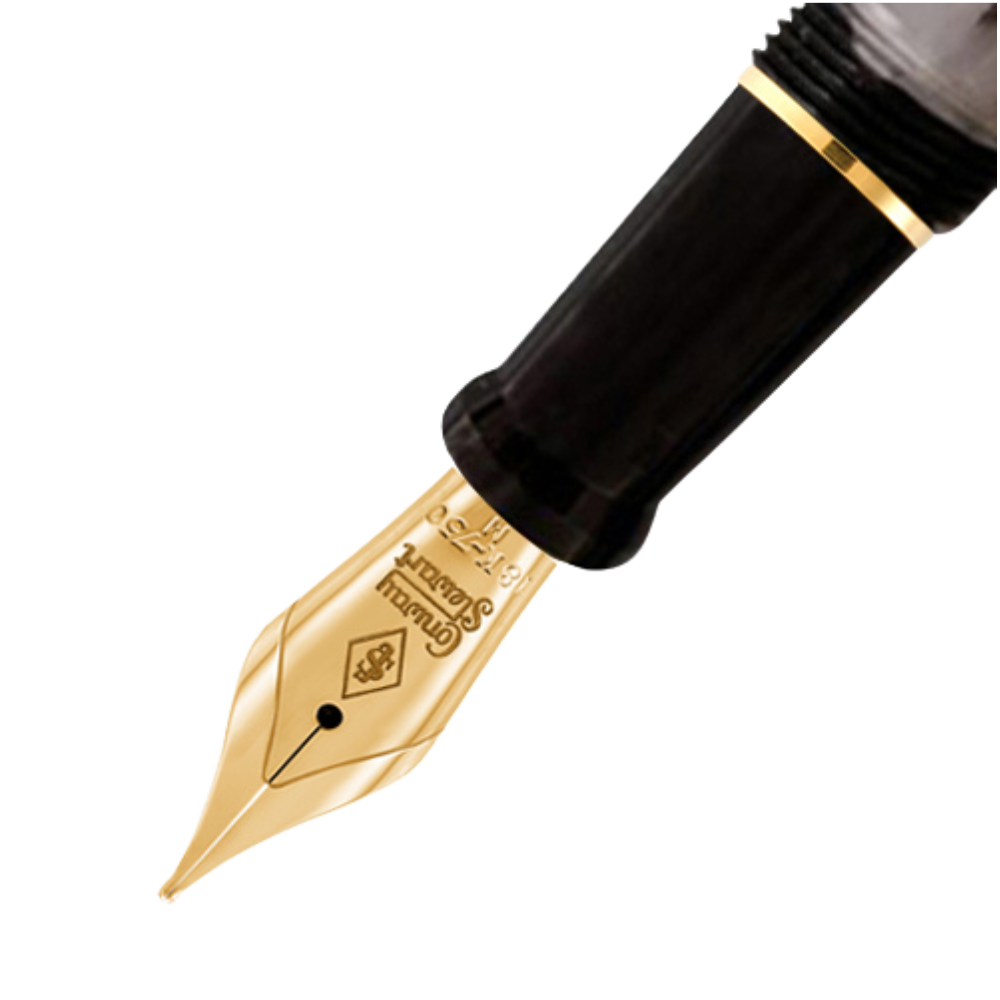 Conway Stewart Series 58 Fresian