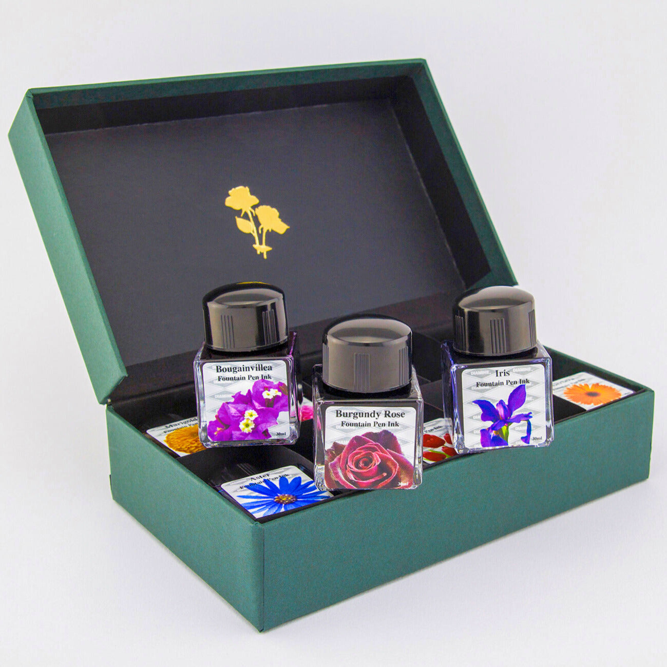 Diamine Ink Sets
