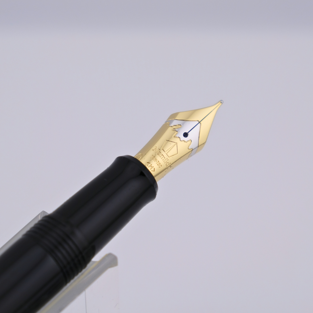 Namiki Yukari Autumn Leaves Maki-e fountain pen