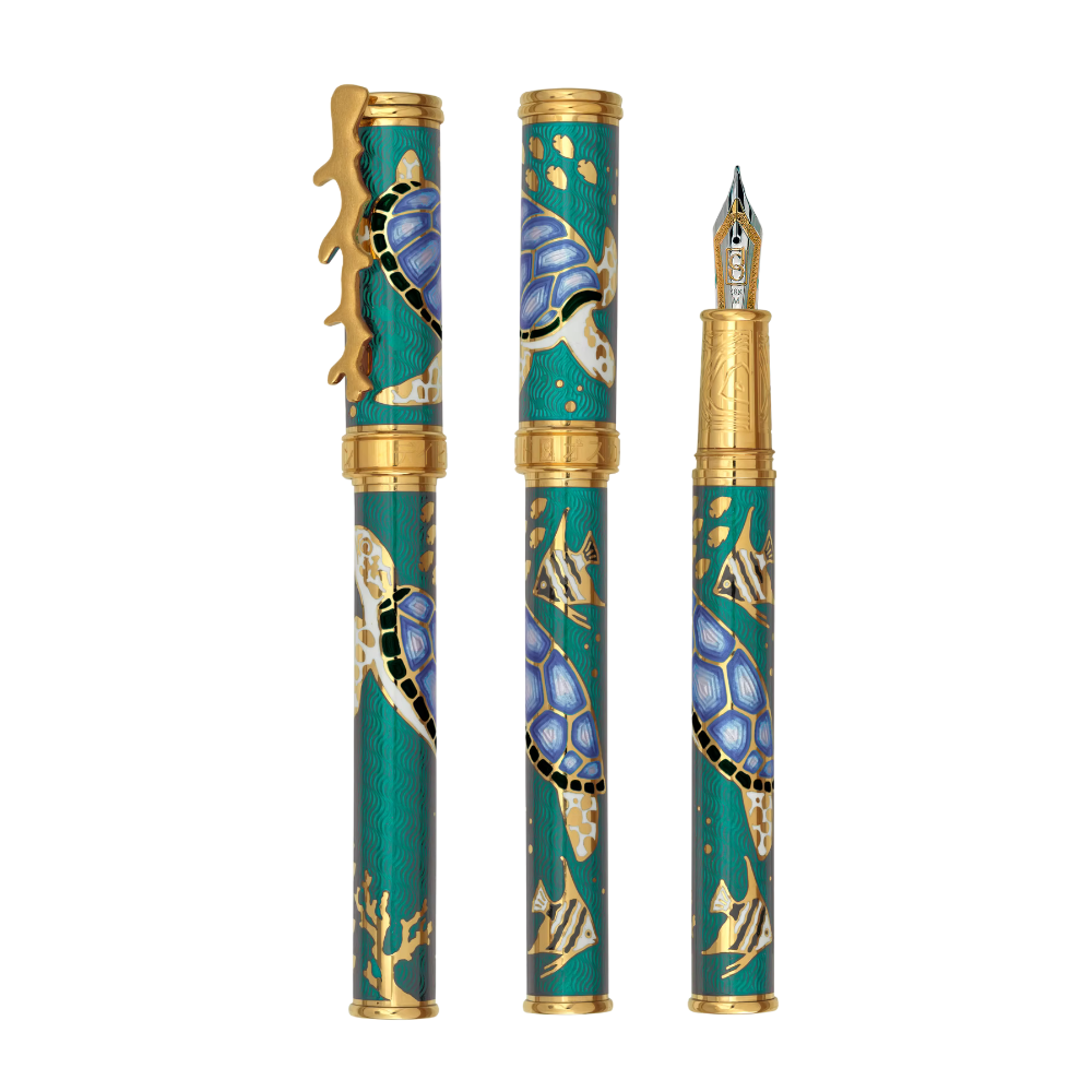 David Oscarson – Sea Turtles Collection - Teal