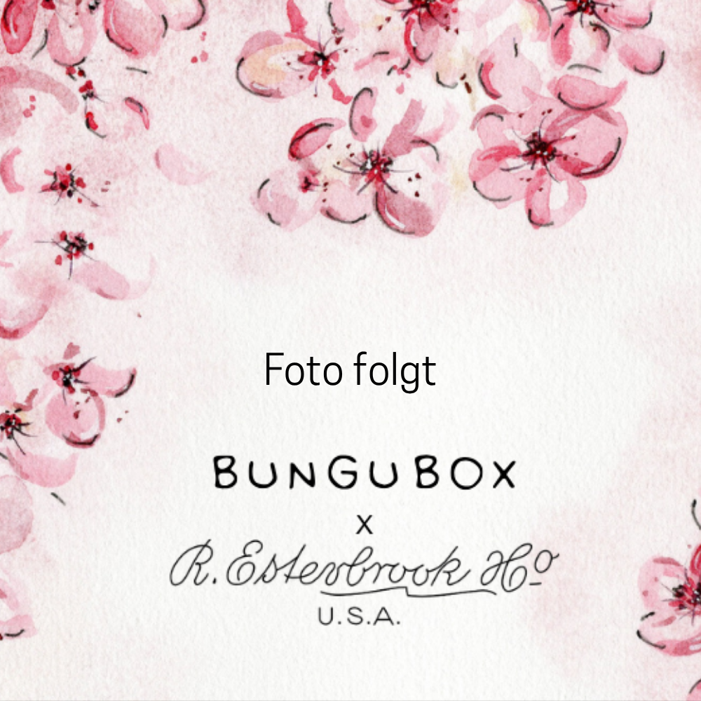 Esterbrook X BUNGUBOX Cherry Blossom Tinte