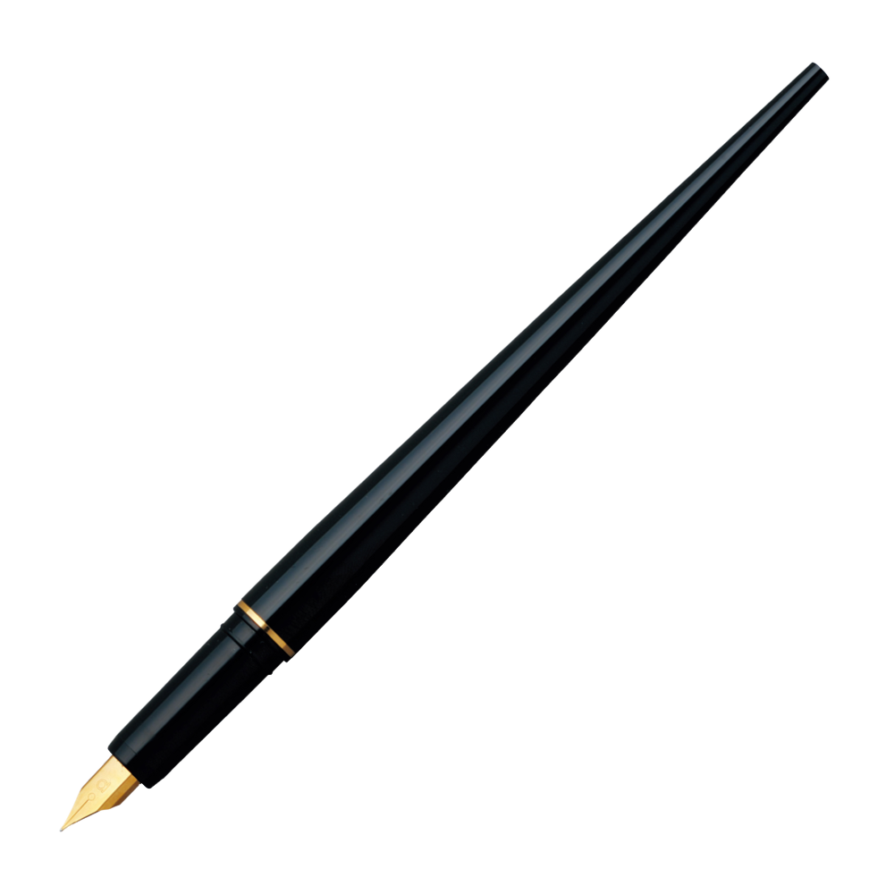 Platinum artWORKpen Füllhalter schwarz EF in der Originalverpackung.