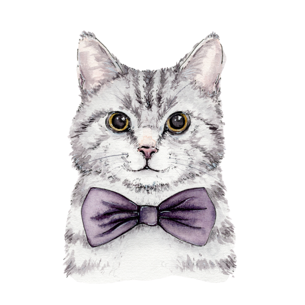 The BOWTIE Collection - No.6 Bowtie Cat - VORBESTELLUNG