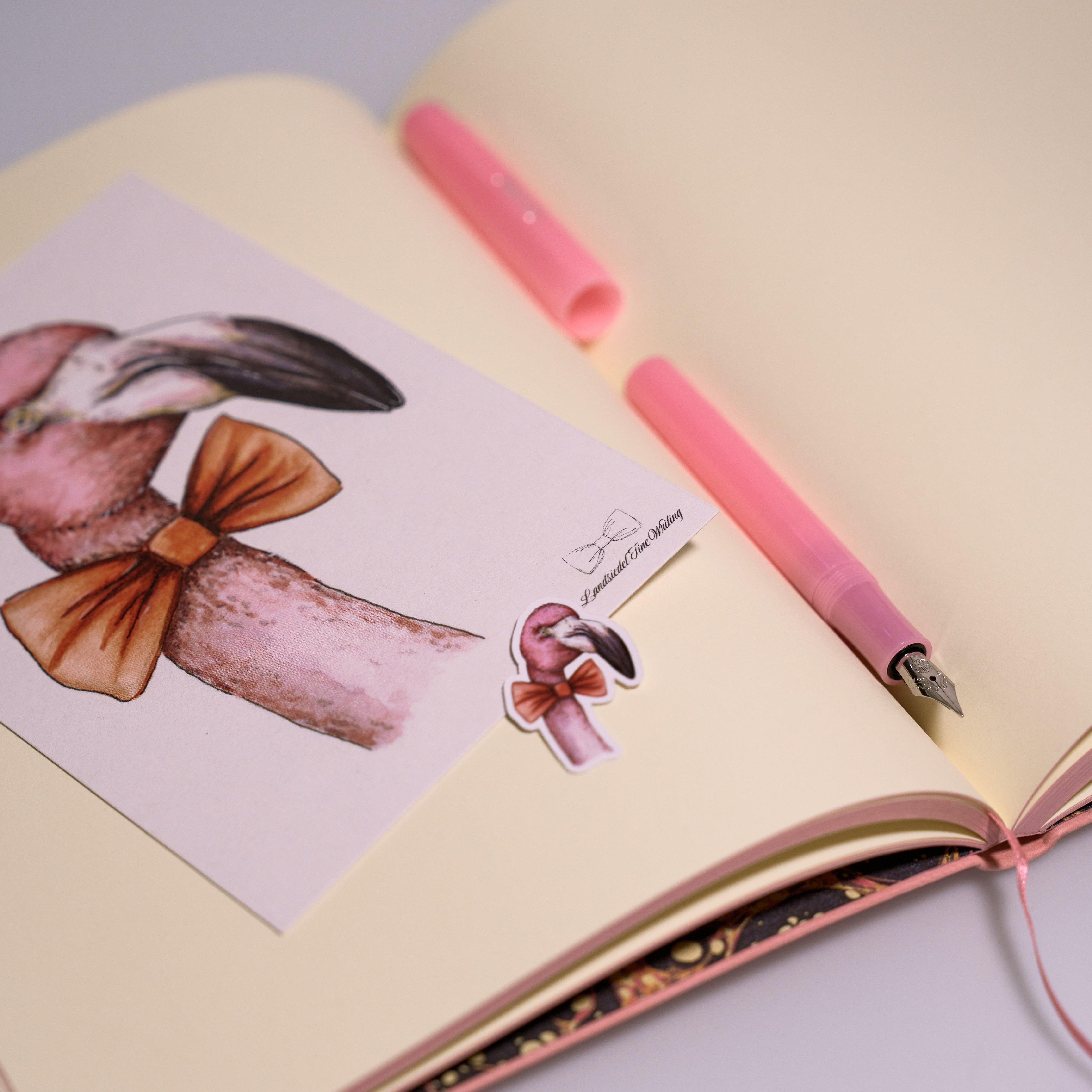 Starter Set - BOWTIE Flamingo