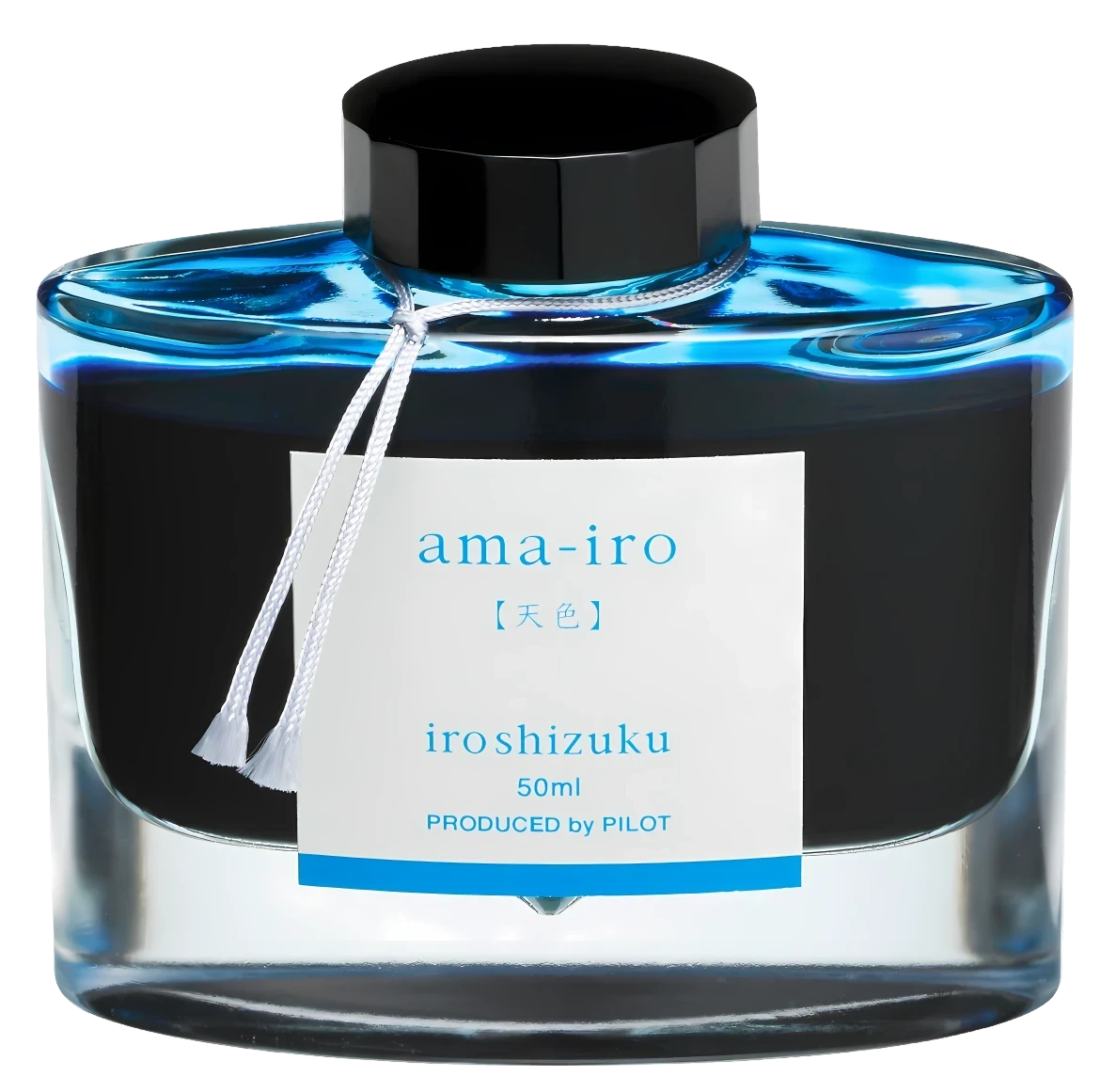 Pilot iroshizuku ink